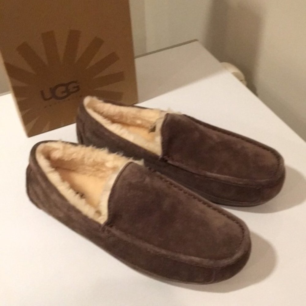 ❤️ New ugg Ascot Espresso water resistant suede